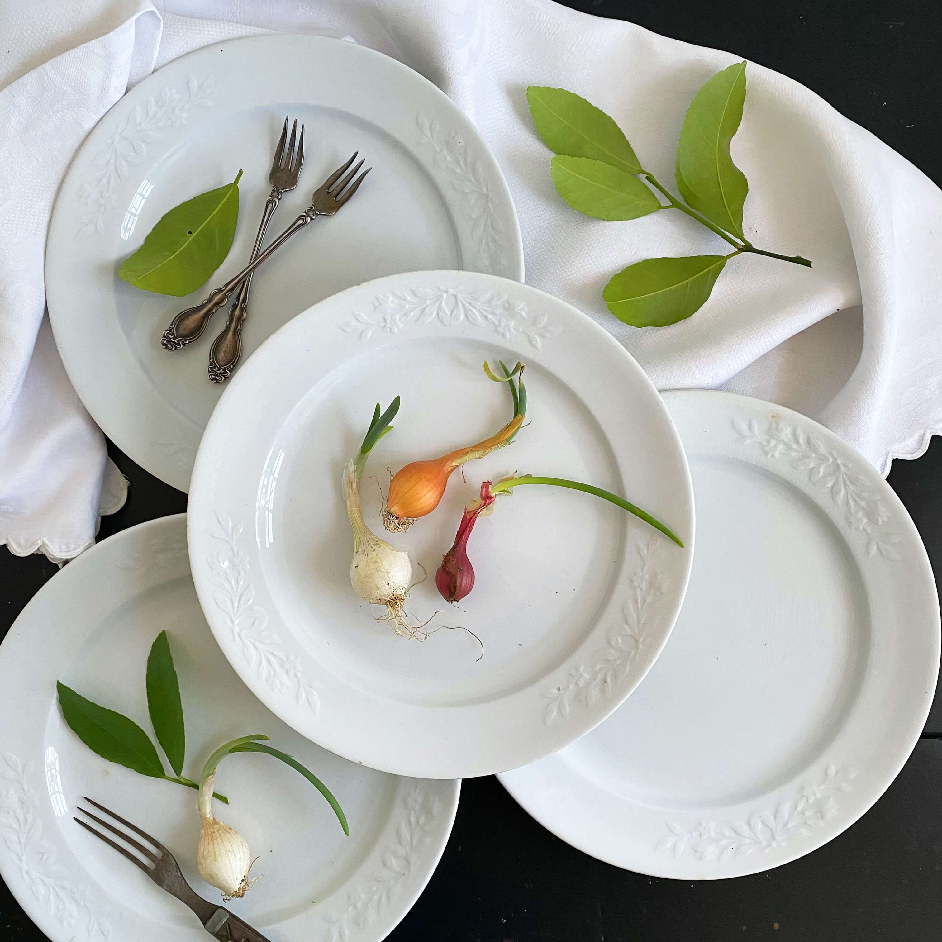 Timeless Treasures for Your Kitchen